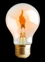 237381-primary.jpg
