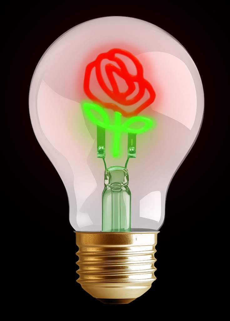[253034] [253034] Synergy 21 LED Deko Bulb A68 Rose, aufladbar